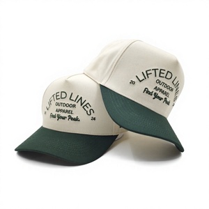 Gorra de béisbol de 5 paneles con logotipo bordado personalizado, MOQ bajo, OEM, robusta, lisa, esencial, artículo de marca para la cabeza - Product Image 2