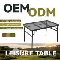 Table de camping pliante en aluminium portable, légère, avec plateau en maille pour le camping, les pique-niques, les barbecues, les événements, meubles d'extérieur
