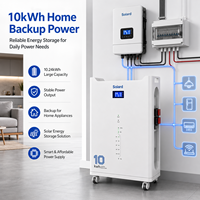 Batería de Almacenamiento Residencial Inteligente WIFI de 200Ah LiFePO4 y 10kWh, Económica y de Alta Eficiencia para Apartamentos