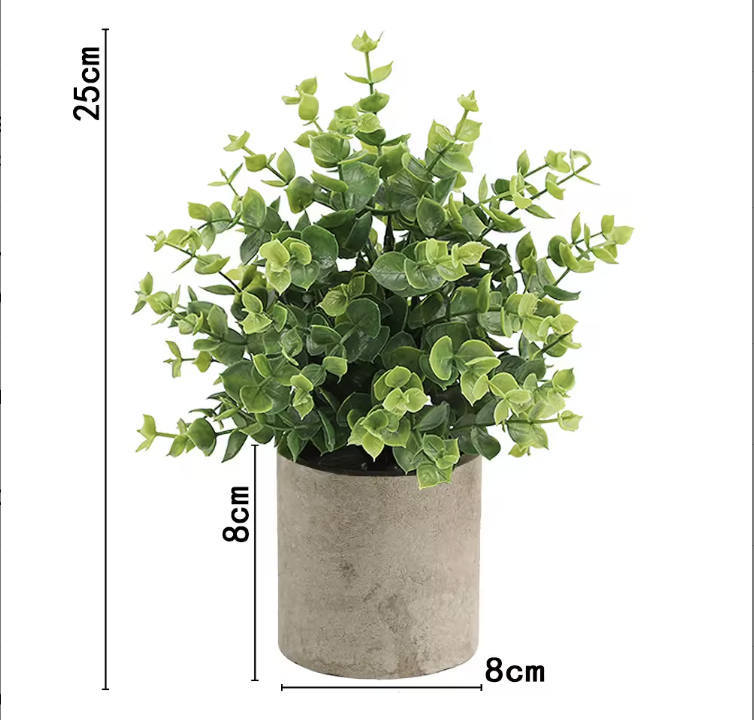 Herbe à petit argent sans poudre ahe379-066