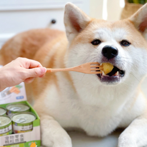 Makanan basah untuk anjing dan kucing 400g serpihan ayam dalam kaldu disesuaikan paket OEM - Product Image 4