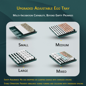 Incubadora Automática de Huevos para Aves de Corral, Fábrica de Equipos Agrícolas para Pollos, Aves, Reptiles, Codornices, Pavos, PC PP - Product Image 5