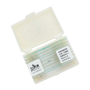 Tế bào động vật phân bào ascaris equis tử cung Crosscut phân chia tế bào Slide di truyền học kính hiển vi sinh học Slide - Product Image 1