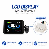 Kit de Conversión de Bicicleta Eléctrica con Motor de Buje Trasero de 48V 250W, Impermeable, con Pantalla LCD8H y Juego de Ruedas con Engranajes para MTB