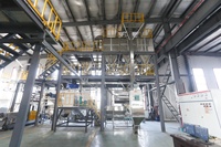 Ligne de production extrudeuse Saibainuo de 5 tonnes par heure, machine à fabriquer des granulés d'aliments pour poissons