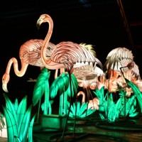 Linterna Tradicional China para Escenarios Festivos, Iluminación Exterior, Instalaciones de Linternas, Precio de Fábrica