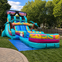 Toboggan aquatique gonflable géant pour adultes, personnalisable, en PVC, écologique, pour l'extérieur, commercial, pas cher, toboggan de jardin