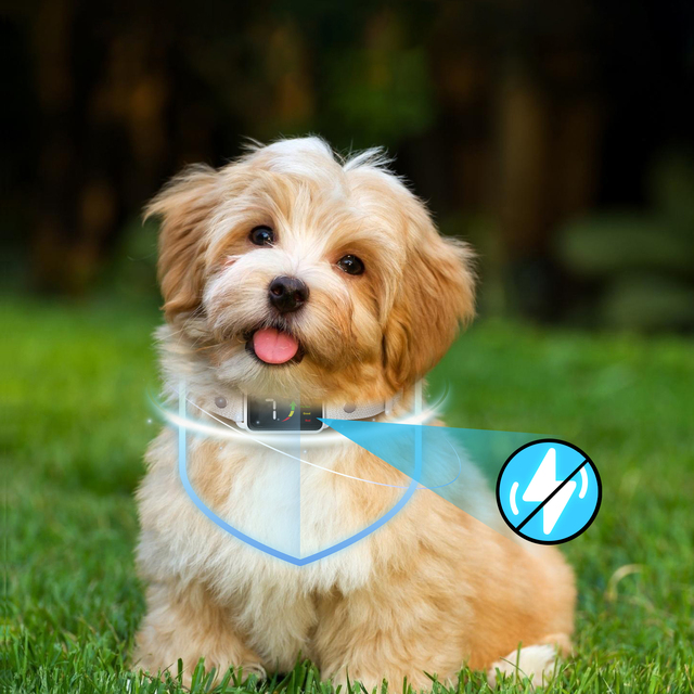 AI Intelligent Recognition Automatic Vibration Beep Training Dog Collar New Waterproof Rechargeable No Shock Plastic Material