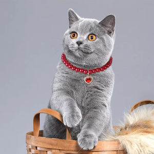 Winter Holiday Necklaces <b>for</b> Pets Quirky Beaded <b>Cat</b> and Dog Pendants in Solid Cotton and Polyester Materials - Product Image 1
