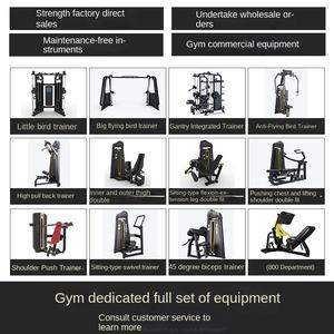 Equipo de Gimnasio Comercial para Ejercicios de Espalda Alta y Baja, Conjunto Completo de Máquinas Metálicas para Entrenamiento de Fuerza con Características de Seguridad YLSY Fi - Product Image 6