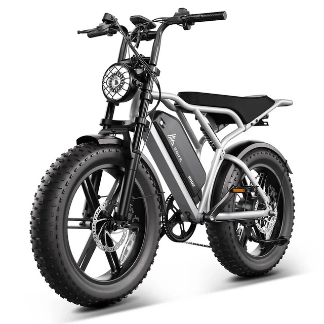 20" Fat Tire E-bike Electric Bike 48V 250W 750W All-Terrain City & Off-Road E-Bike with Removable Battery