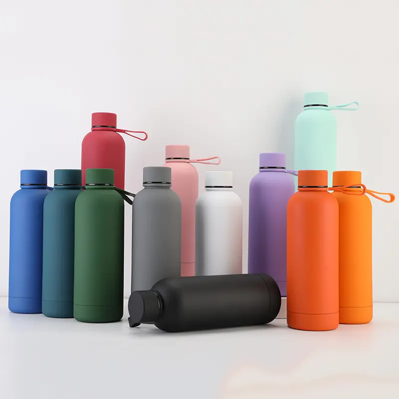O pó Eco-amigável personalizado do frasco de vácuo revestiu a garrafa de água quente e fria 500Ml para esportes para adultos