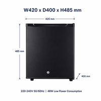 Mini-réfrigérateur électrique professionnel 30L avec dégivrage automatique et drainage de l'eau, en plastique, pour usage bureautique et hôtelier