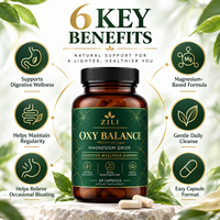 Capsules d'oxyde de magnésium en marque blanche, 60 unités, complément minéral pour le bien-être digestif, fabricant OEM ODM, approvisionnement en vrac personnalisé