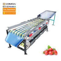 Machine de tri et de calibrage de fruits LONKIA, trieuse de taille, trieuse de poids, trieuse de rouleaux pour les myrtilles et les pommes de terre
