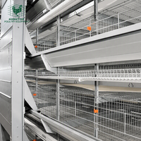 Cage à poules de type H avec système d'alimentation automatique et de collecte des œufs pour 40 000 poules, ferme avicole à grande échelle