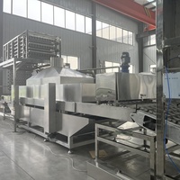 Ligne de production de nouilles instantanées frites à la vapeur 30000 sachets/8 heures Petite machine de fabrication de nouilles instantanées