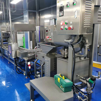 Industriële voedselborstel voor aardappelen, droge borstel voor knoflook, borstel voor het reinigen van wortelen en fruit, wasapparatuur voor groenteverwerking, groentewasborstel, wasapparatuur.