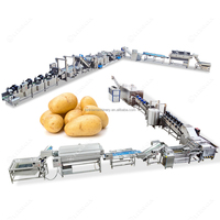 Volledig automatische aardappelverwerkingsinstallatie voor de productie van aardappelchips en diepvriesfrieten.