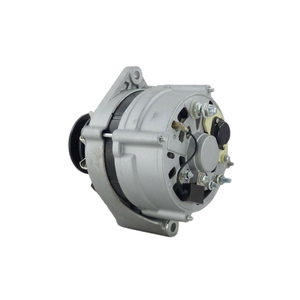 Alternador de Repuesto <span class=keywords><strong>9W3043</strong></span> 0R3652 24V 55A para Caterpillar CAT 3114 3116 3126 3126B 320 L 3208 320B 205B 206B 211B 212B - Product Image 2