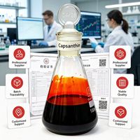 Fournisseur professionnel de paprika rouge, extrait naturel de piment avec capsaïcine, liquide de qualité alimentaire pour usage industriel