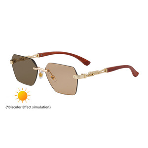 Lunettes de soleil photochromiques Polo Haus pour homme, protection UV400, verres PC classe 2, monture noire, branches dorées-blanches à gris - Product Image 4