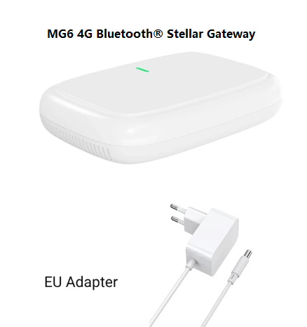 White-Europe Version with EU Adapter