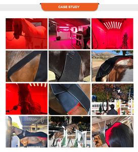 Couverture de luminothérapie infrarouge rouge équestre 660 nm, ensemble de couverture de luminothérapie infrarouge rouge pour chevaux, soulagement de la douleur, équipement <span class=keywords><strong>vétérinaire</strong></span> utilisé pour les tendons du dos - Product Image 2
