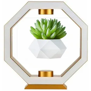 360 rotating magnetic levitation floating Air Bonsai plant flower pot for decorative gift