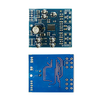 Amplificateur professionnel haute puissance JYWD Blue Home 2.0 canaux, carte amplificatrice 15x15x3cm 35g CN/GUA