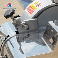 Automatic Taro Pineapple Apple Mushroom Mango Dicing Machine Vegetable Cutting Machine (TS-Q180)