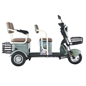 Véhicule électrique robuste à trois roues pour les déplacements et le transport domestiques - Product Image 2