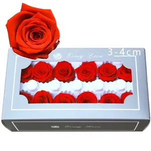 12 Pcs 3 cm Small Size Preserved Eternal Forever Rose Head