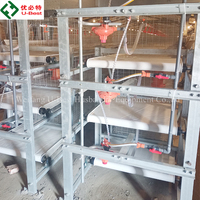 Cages pour poulets de chair de type H, cages automatiques pour poulets de chair, équipement d'élevage avicole automatique, cage d'alimentation automatique pour poulets