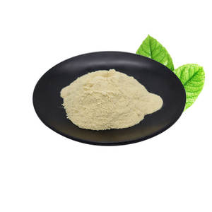 Saf Takviye Gıda Sınıfı Toptan Bezelye Ekstresi %85 Bezelye Proteini - Product Image 3