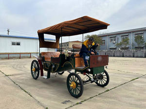 รถม้าไฟฟ้าแบบราชวงศ์สำหรับบริการขนส่งชมวิวพิเศษ - Product Image 5