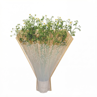 Pots de fleurs personnalisables en forme de cœur, imprimés en sérigraphie sur papier kraft-BOPP, avec soufflets latéraux en maille, Flexiloop, recyclables, pour cadeaux floraux et artisanat
