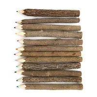 나무 나무 나무 소박한 나뭇 가지 컬러 연필, 자연 분기 컬러 연필 학교 용품 편지지 선물