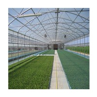 Structure de cadre métallique de serre de tunnel de film plastique à portée unique commerciale à faible coût pour les plantes agricoles