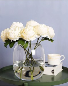Vases à fleurs en verre gris clair moderne Vase en verre rond transparent à gros ventre Pantalon hydroponique Réservoir de poissons Bocal à poissons - Product Image 3