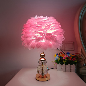 Modern White Pink <strong>Grey</strong> Crystal Feather <strong>Lamp</strong> LED Creative Pearl Goose Feathers for Bedroom Decoration E27 Bedside <strong>Floor</strong> <strong>Lamp</strong> - Product Image 6