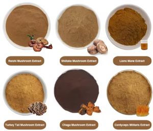 Toptan yüksek kaliteli mantar Hericium Erinaceus tozu aslan Mane mantar tozu - Product Image 3