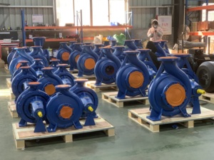 Bomba Centrífuga Industrial de Hierro Fundido/Acero Inoxidable 304 de Alta Eficiencia, Resistente a la Corrosión, Impulsada por Diésel IE2/IE3/IE4 - Product Image 4