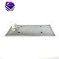 Plaque chauffante électrique en mica BRIGHT 220V 2000W 145*255mm pour machine de thermoformage sous vide