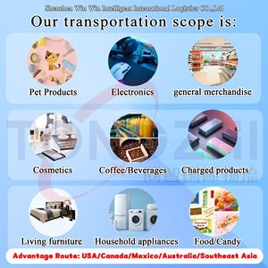 Servicios de Envío de Accesorios para Autos y Mochilas para Mascotas, Transitario Profesional en China, Envío Global Vía LCL+Express, Soporte 24/7, <span class=keywords><strong>Seguro</strong></span>, 14-21 - Product Image 4