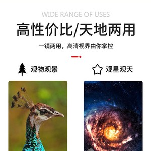 Suncore Binoculars 10-30x60 High Resolution Professional Natural Observation With Image Stabilization - Product Image 3