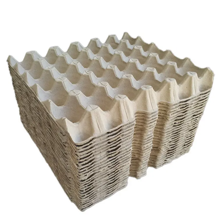 Lower Price Biodegradable Bagasse Egg Tray 100% Disposable Sugarcane Pulp Egg Box