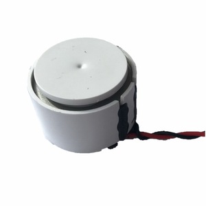 Loa Dẫn Xương <span class=keywords><strong>Mini</strong></span> 25Mm 3W 4 Ohm 1 Inch - Product Image 5