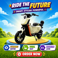 High Quality 1000W 60V Brushless Electric Adult Motorcycle 60 km/h Motor E-bike/Scooter Lithium Battery Customizable