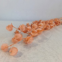 Groothandel Kleurrijke Onsterfelijke Bel Fruit Real Natuurlijke Bewaard Bell Bloemen Voor Bloemstuk